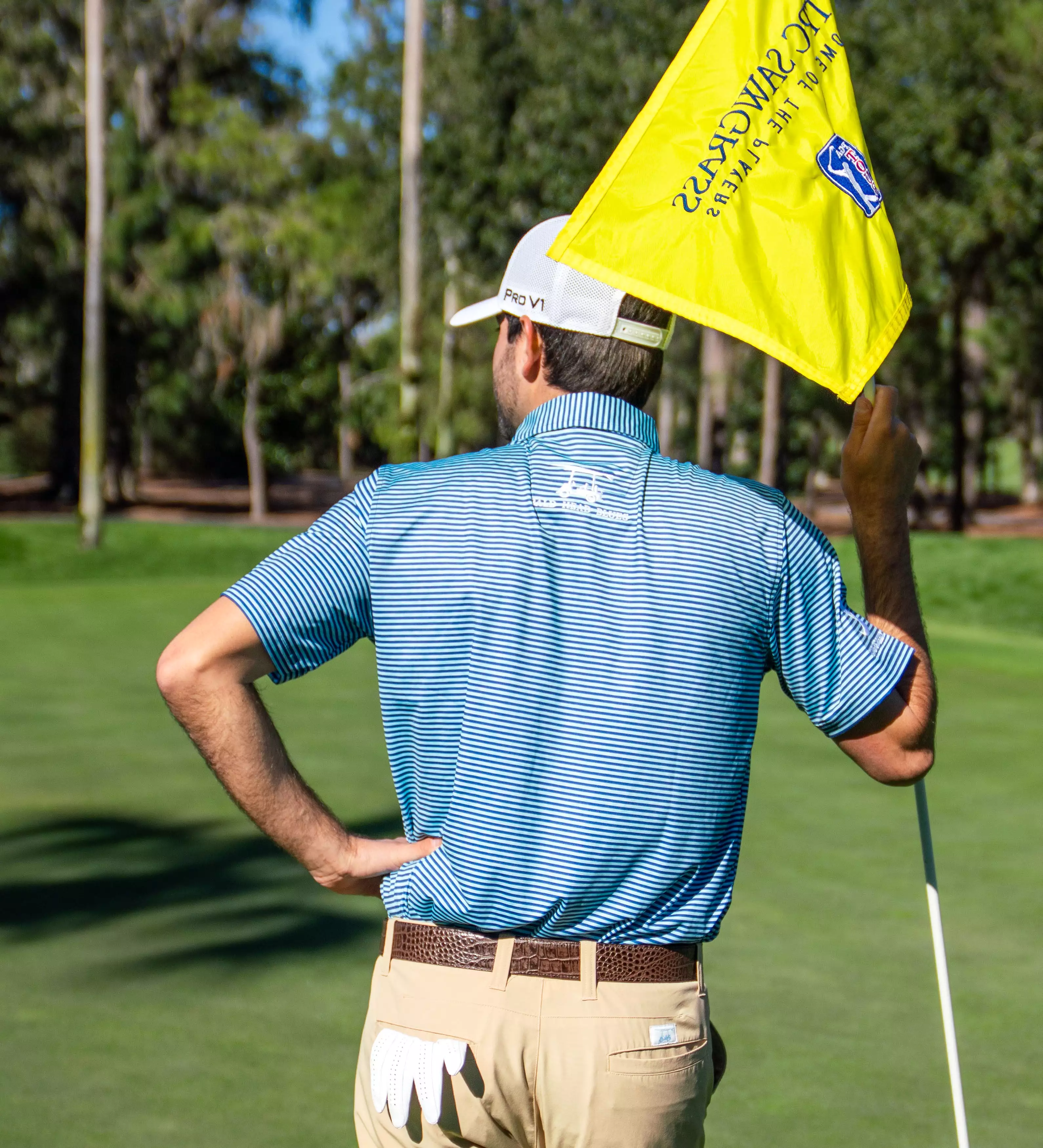 Albatross Polo - Heather Aruba / Royal Blue Stripes