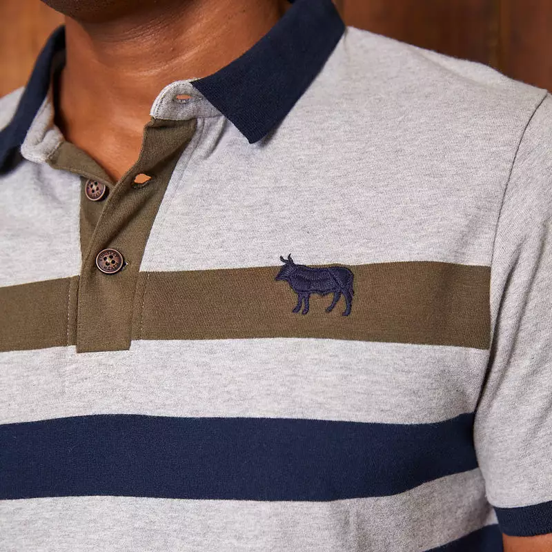 Bold Striped SJ Polo Vervet