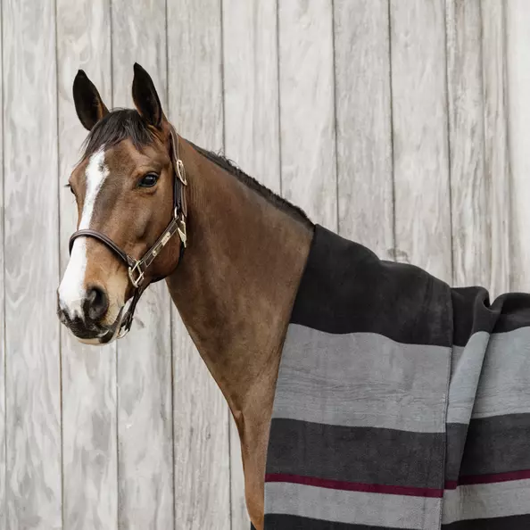 Kentucky Heavy Fleece Rug Square