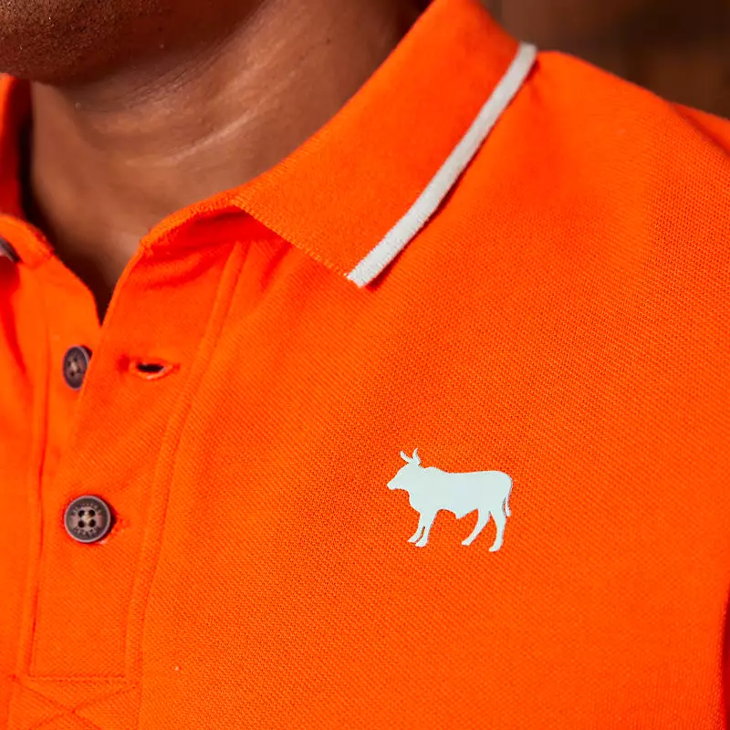 Modern Maverick Pop Polo Naartjie